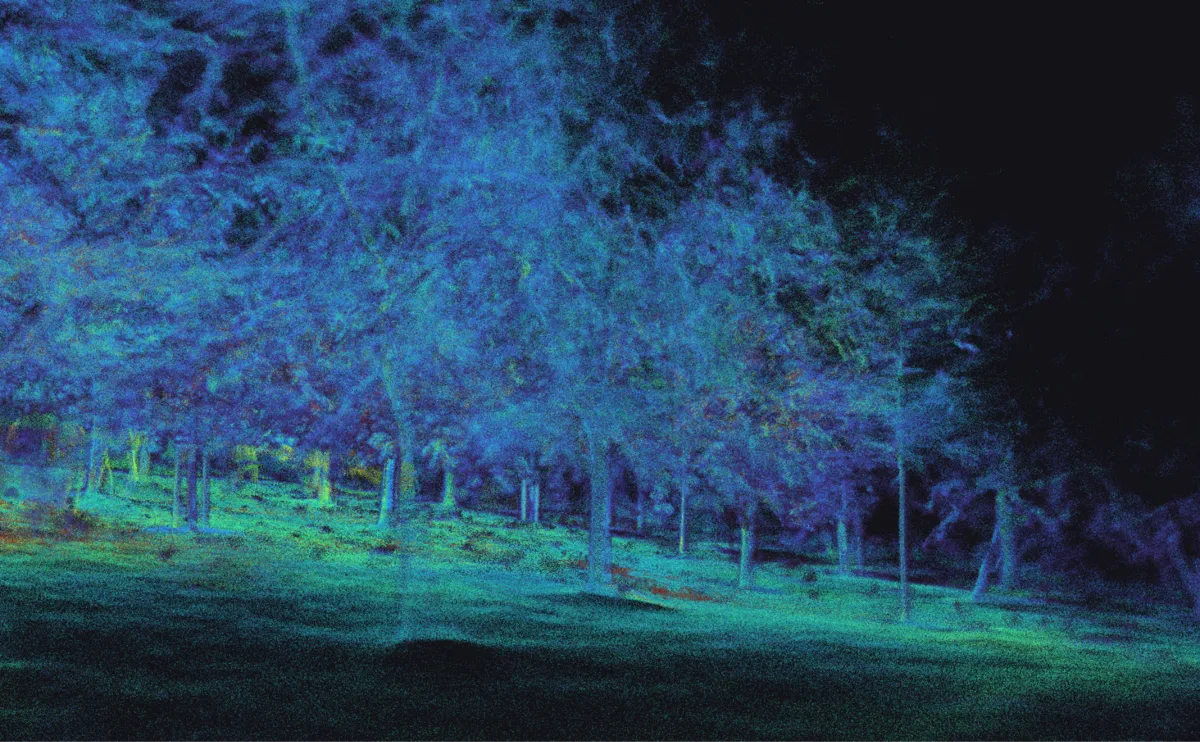 Point cloud of a forest captured under the tree canopy